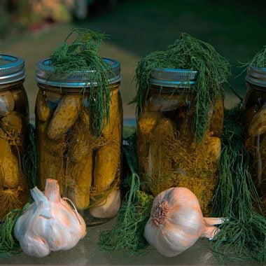 pickle-ifa-food-trend-2026